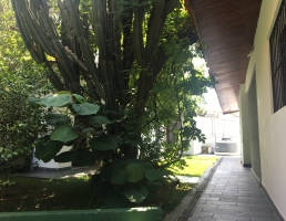 Foto sem título